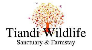 Tiandi Wildlife Sanctuary Farmstay